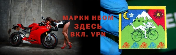 гидра Алексин