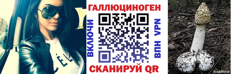 mega ССЫЛКА  купить  цена  Асино  Галлюциногенные грибы Psilocybine cubensis 